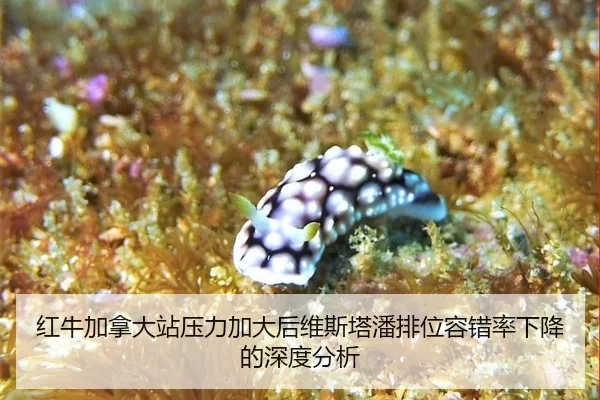 hong-niu-jia-na-da-zhan-ya-li-jia-da-hou-wei-si-ta-pan-pai-wei-rong-cuo-lv-xia-jiang-de-shen-du-fen-xi-2-488.jpg